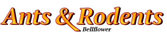 Bellflower Ant Exterminator & Rodent Control Company Logo